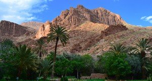Day 2: Ouarzazate - Dades Valley - Todra Gorges