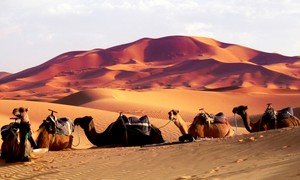 Day 3: Merzouga Dunes - TAZARINE - AGDAZ - Marrakech